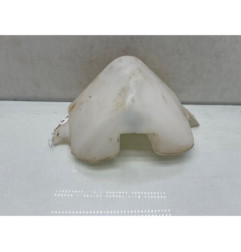 Vase de lave glace RENAULT R21