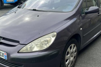 Jante PEUGEOT 307