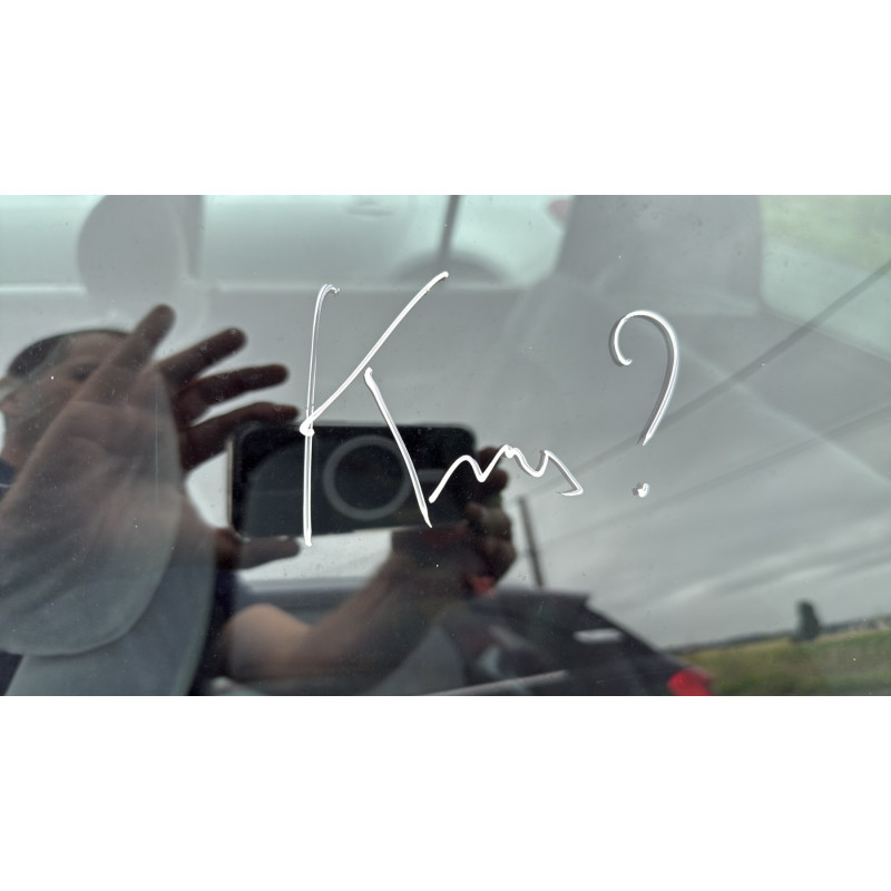 Calandre RENAULT CLIO 2 Photo n°13