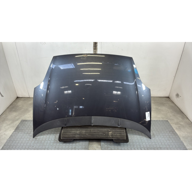Capot FIAT PUNTO EVO 3 Photo n°1