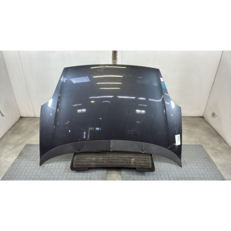 Capot FIAT PUNTO EVO 3 Photo n°1