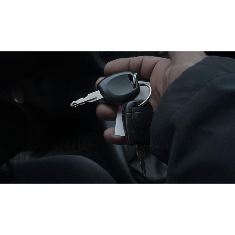 Calandre RENAULT CLIO 2 Photo n°12