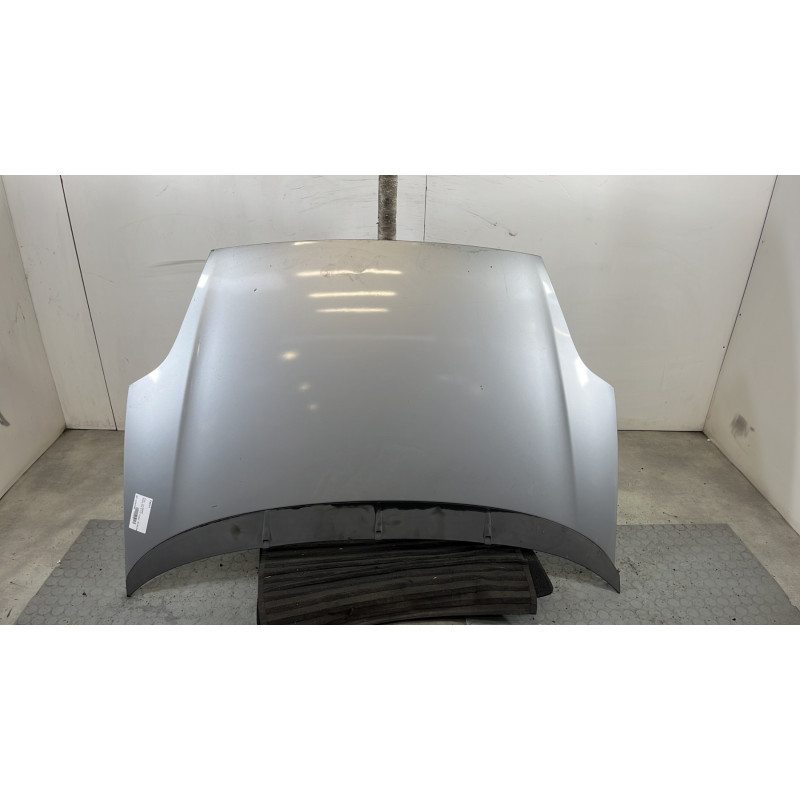 Capot FIAT PUNTO EVO 3 Photo n°1