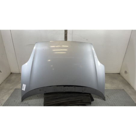 Capot FIAT PUNTO EVO 3 Photo n°1