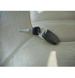 Calandre ROVER 45