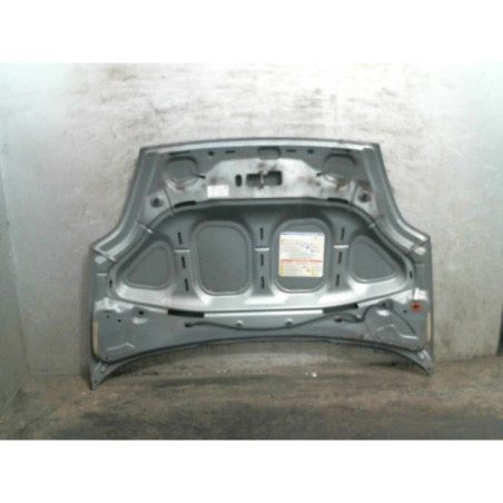 Capot FIAT GRANDE PUNTO Photo n°1