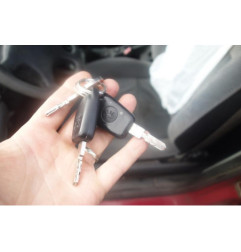 Calandre PEUGEOT 406