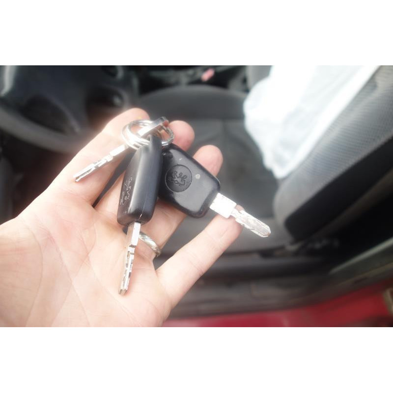 Calandre PEUGEOT 406 Photo n°5