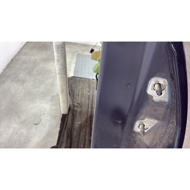 Porte arriere gauche DACIA SANDERO 1 Photo n°3