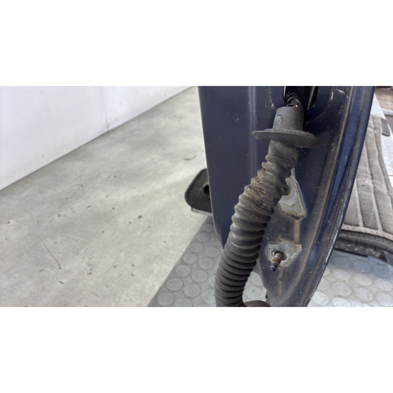 Porte avant gauche DACIA SANDERO 1 Photo n°4