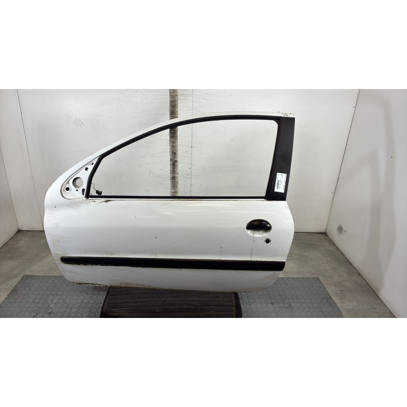 Porte avant gauche PEUGEOT 206+ Photo n°1