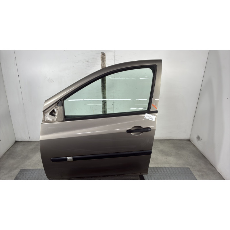 Porte avant gauche RENAULT CLIO 3 Photo n°1