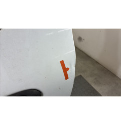 Porte avant gauche RENAULT CLIO 2