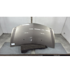 Capot RENAULT CLIO 3 Photo n°1