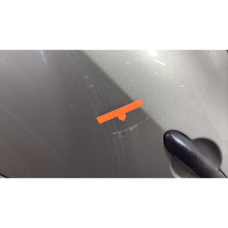 Porte arriere gauche RENAULT CLIO 3