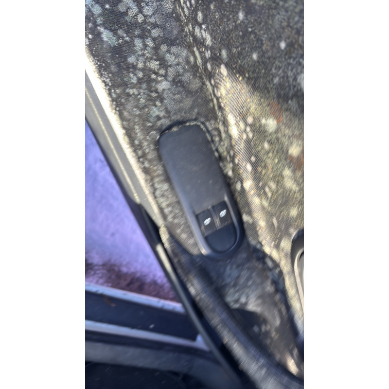 Porte avant droit RENAULT MEGANE 2 Photo n°14