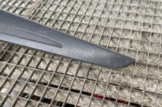 Baguette de porte avant droite RENAULT CLIO 4