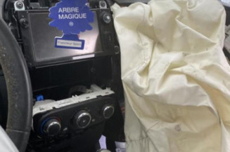 Poignee porte arriere gauche RENAULT CLIO 4