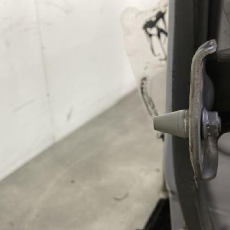 Porte avant gauche MERCEDES CLASSE E 211 Photo n°6