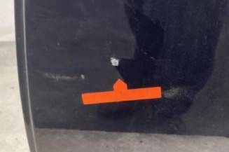 Porte arriere gauche BMW SERIE 3 E90