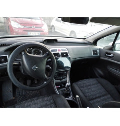 Custode avant droit (porte) PEUGEOT 307