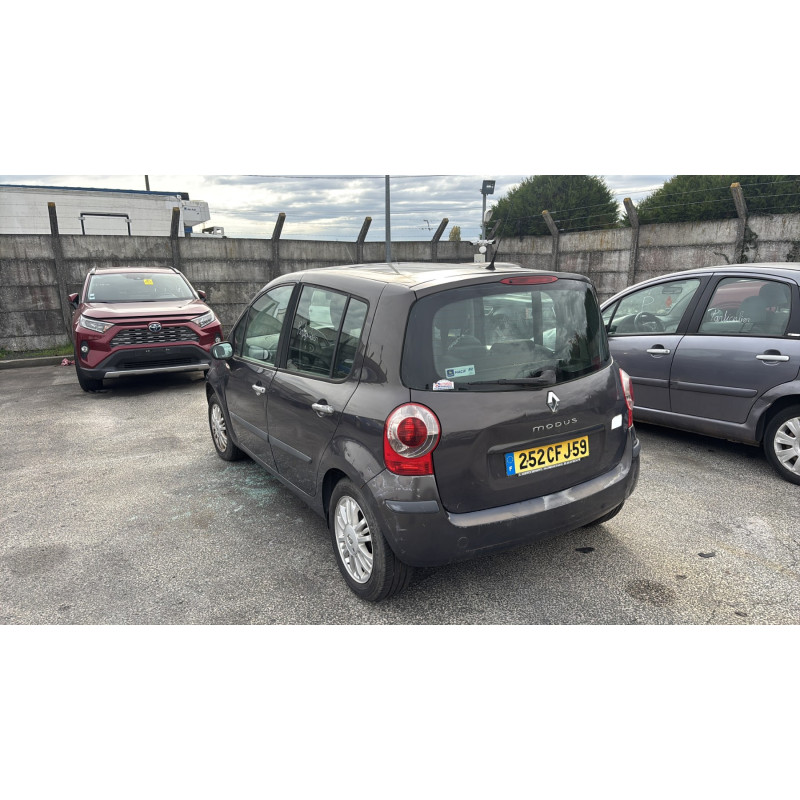 Custode arriere droit (porte) RENAULT MODUS Photo n°7