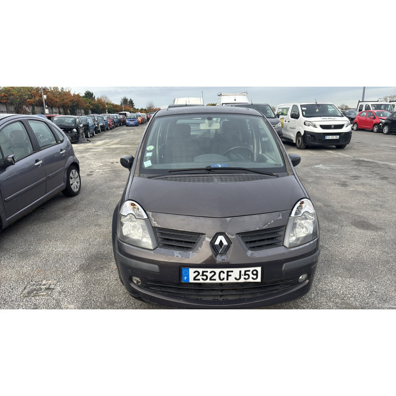 Custode arriere droit (porte) RENAULT MODUS Photo n°12