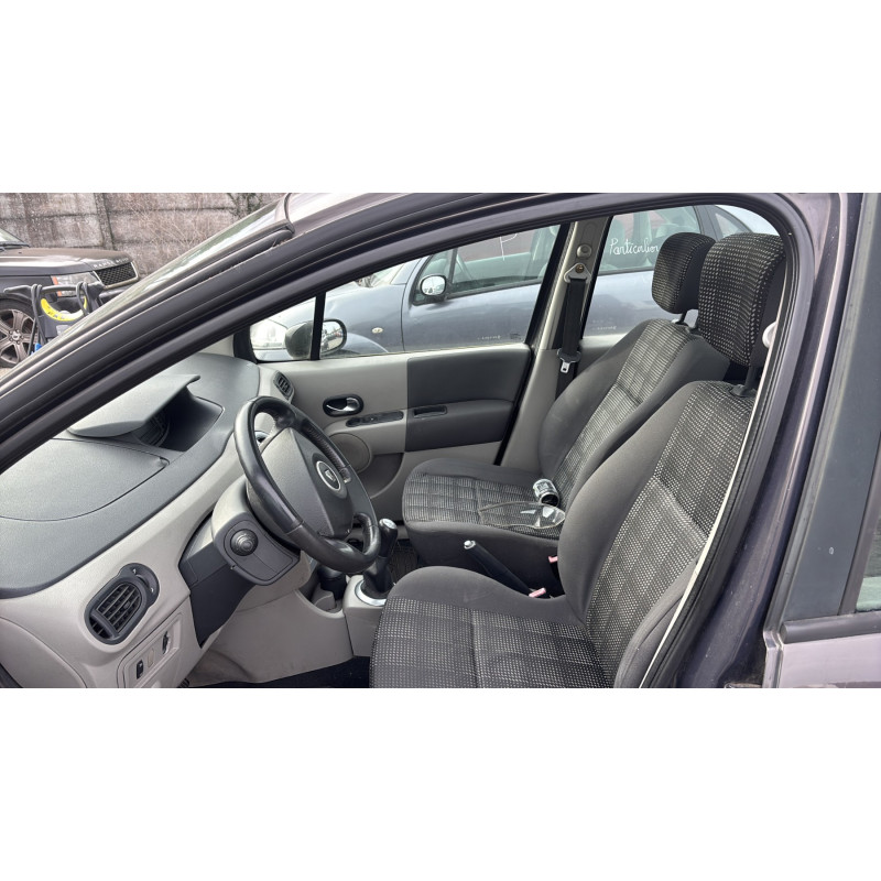 Custode arriere droit (porte) RENAULT MODUS Photo n°16