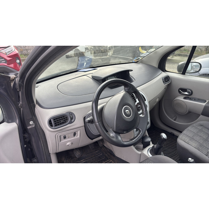 Custode arriere droit (porte) RENAULT MODUS Photo n°17