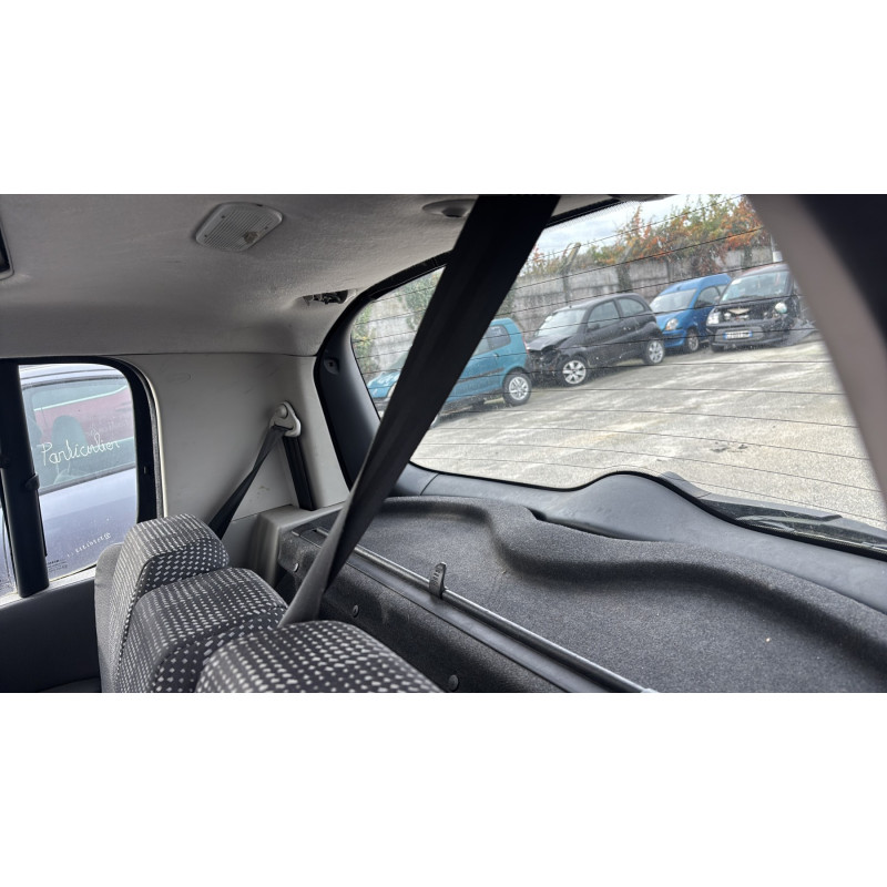 Custode arriere droit (porte) RENAULT MODUS Photo n°19