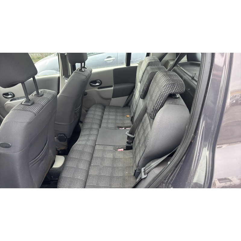 Custode arriere droit (porte) RENAULT MODUS Photo n°20