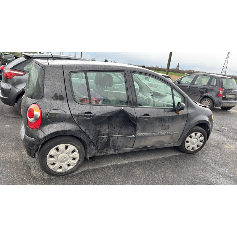 Custode arriere droit (porte) RENAULT MODUS Photo n°10