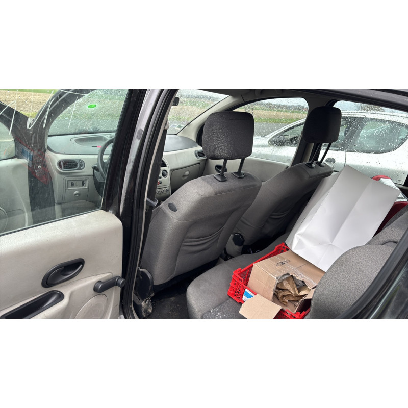 Custode arriere droit (porte) RENAULT MODUS Photo n°13