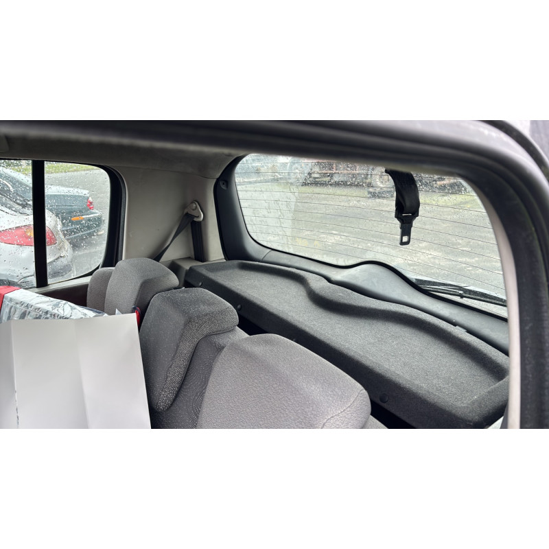 Custode arriere droit (porte) RENAULT MODUS Photo n°14