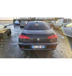 Custode arriere gauche (porte) PEUGEOT 607