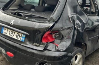 Pedale d'accelerateur PEUGEOT 206