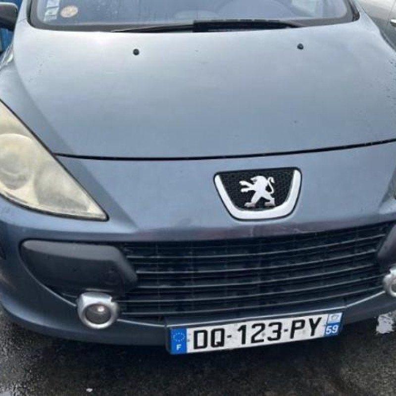 Malle/Hayon arriere PEUGEOT 307 Photo n°18