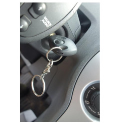 Custode arriere gauche (porte) RENAULT GRAND MODUS