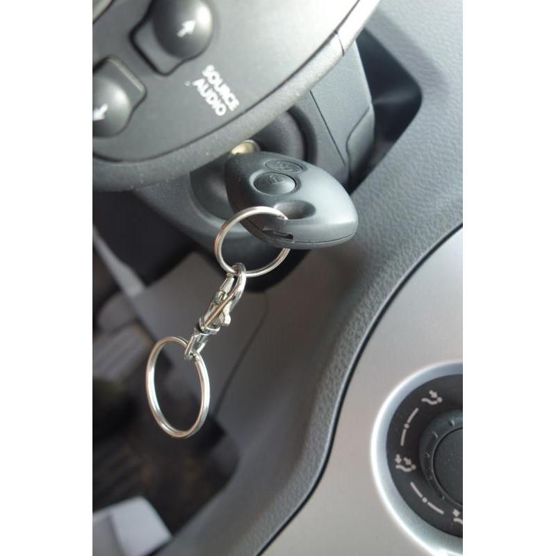 Custode arriere gauche (porte) RENAULT GRAND MODUS Photo n°11