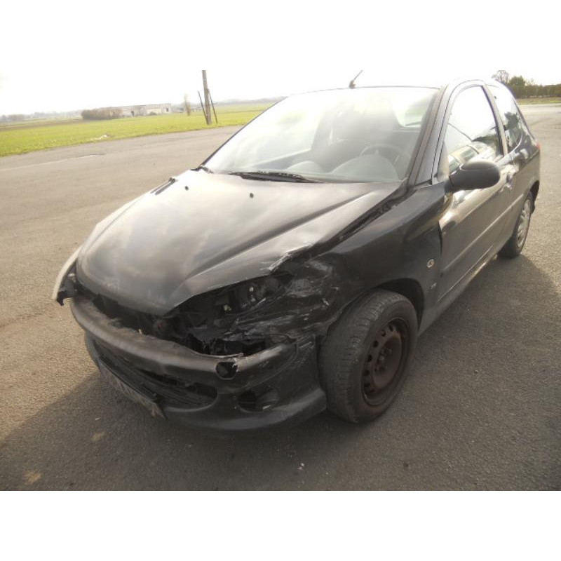 Custode arriere gauche PEUGEOT 206 Photo n°1