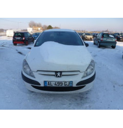 Custode arriere droit PEUGEOT 307