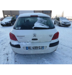 Custode arriere droit PEUGEOT 307