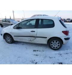 Custode arriere droit PEUGEOT 307