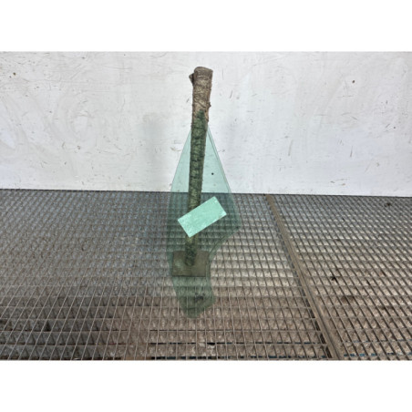 Custode avant droit (porte) CITROEN C3 1