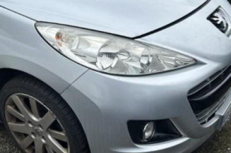 Boitier BSI PEUGEOT 207