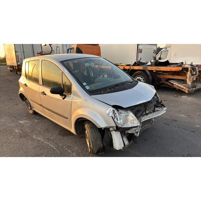 Custode arriere droit (porte) RENAULT MODUS Photo n°7