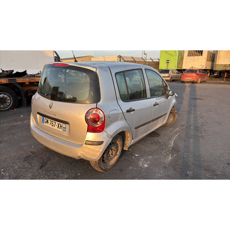 Custode arriere droit (porte) RENAULT MODUS Photo n°8