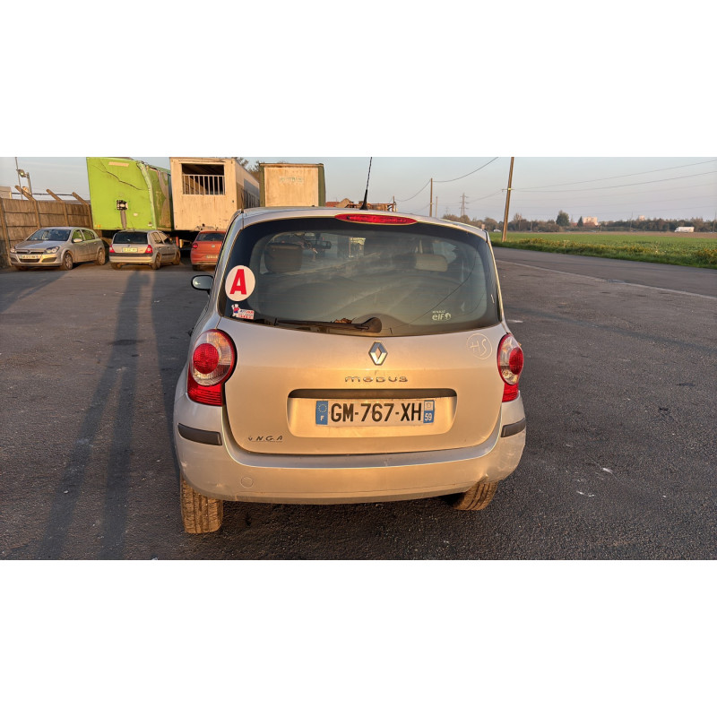 Custode arriere droit (porte) RENAULT MODUS Photo n°10