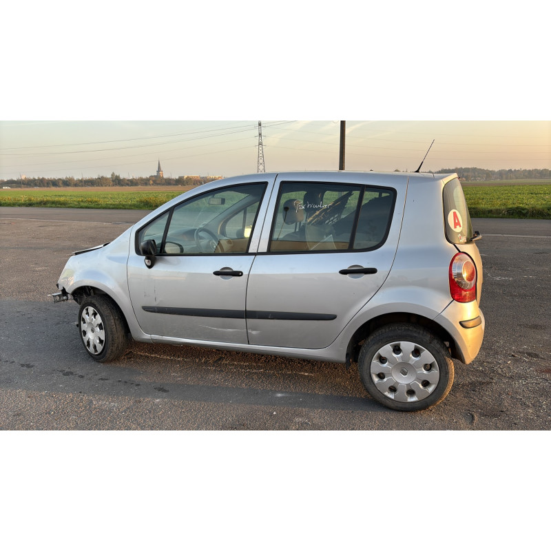 Custode arriere droit (porte) RENAULT MODUS Photo n°11