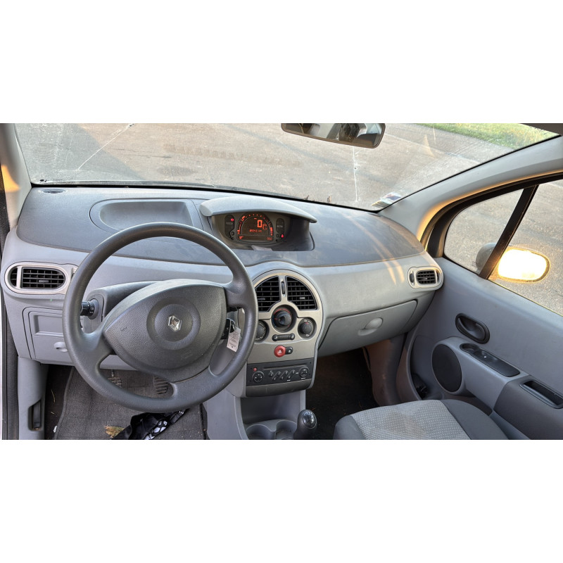 Custode arriere droit (porte) RENAULT MODUS Photo n°17